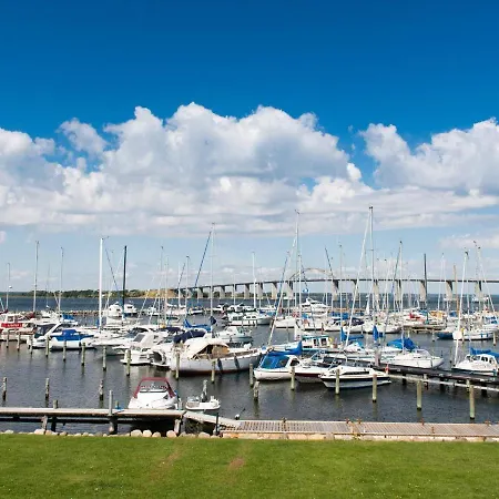 Viii Daire